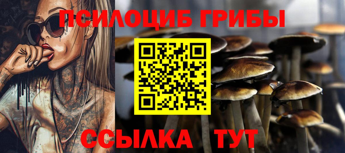 Псилоцибиновые грибы Psilocybine cubensis  Вход с VPN  купить   Псилоцибиновые грибы Psilocybine cubensis  Петрозаводск 